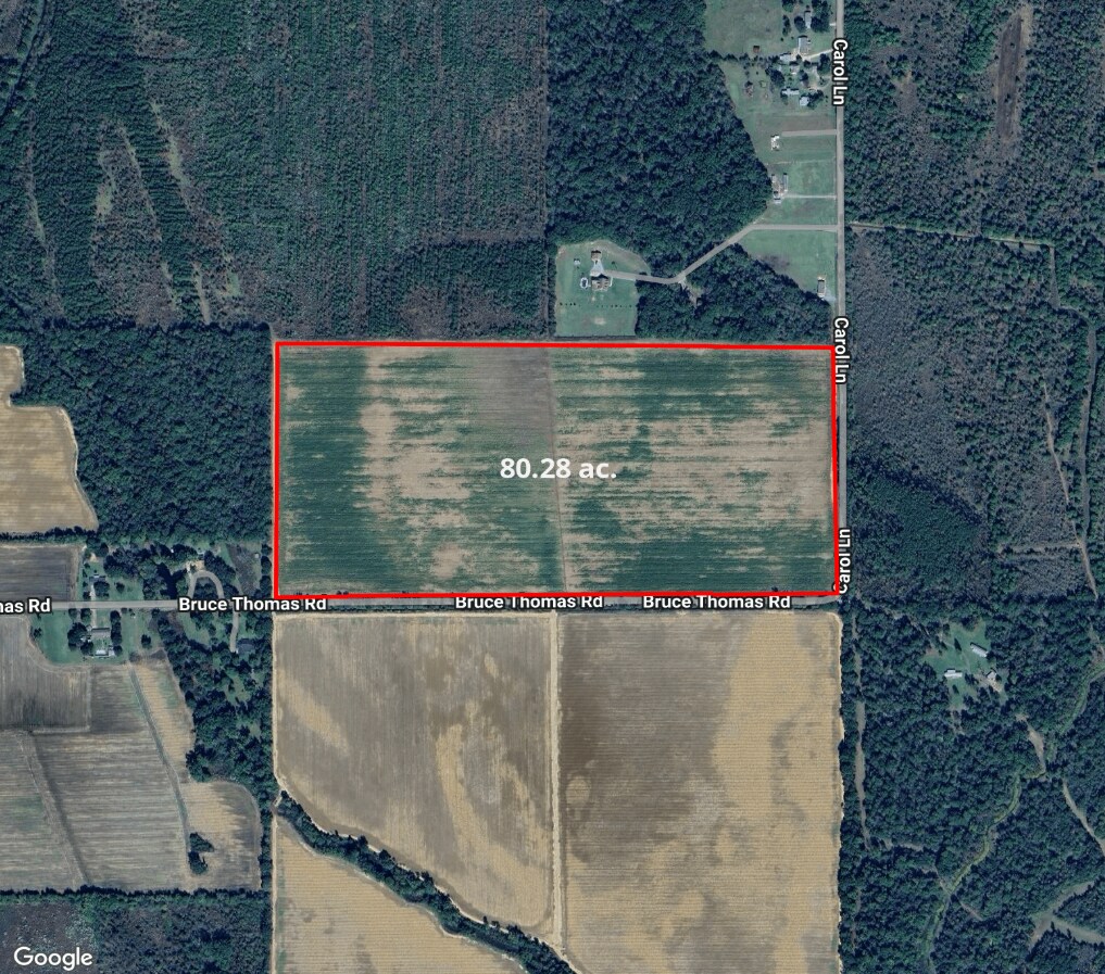NW Quadrant of Bruce Thomas Rd and Carol ln, Rayville, LA for sale Primary Photo- Image 1 of 30