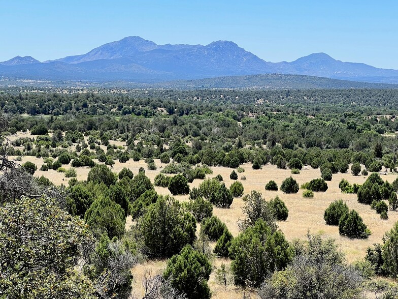 Las Vegas Road (West of Williamson Valley Rd), Prescott, AZ à vendre - A rien - Image 3 de 12