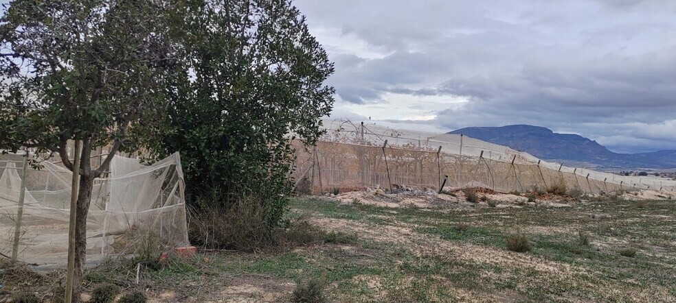 Terrain dans Monforte del Cid, Alicante à vendre - Photo du bâtiment - Image 3 de 9