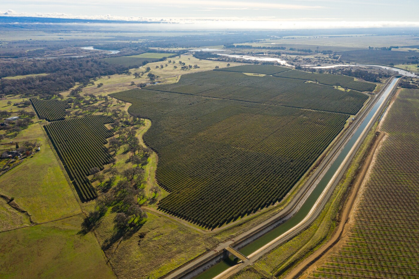 Hall Rd, Corning, CA à vendre Photo principale- Image 1 de 1