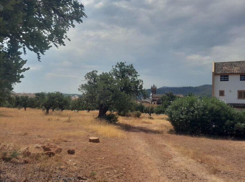 Carrer Menorca, S/N, Petrés, Valencia for sale - Building Photo - Image 2 of 8