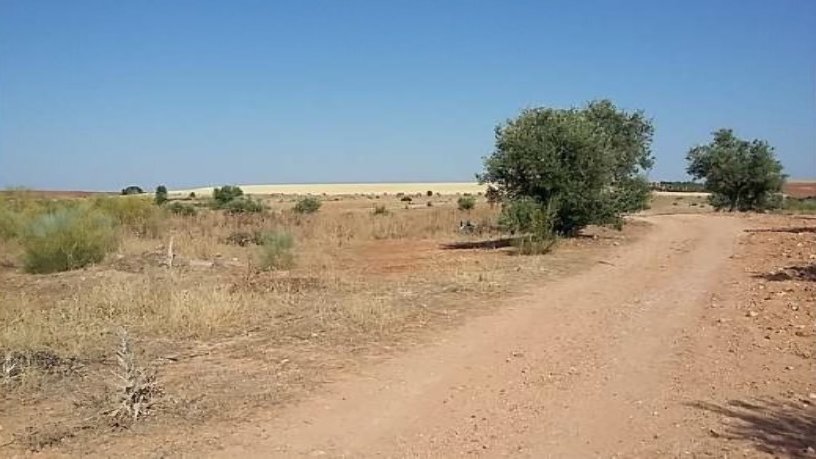 Polig. 1, R-5 Cañadilla portefeuille de 5 propriétés à vendre sur LoopNet.ca - Autre - Image 2 de 11