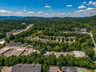 Plus de détails pour 3865 Sweeten Creek Rd, Arden, NC - Bureau, Local d'activités à louer