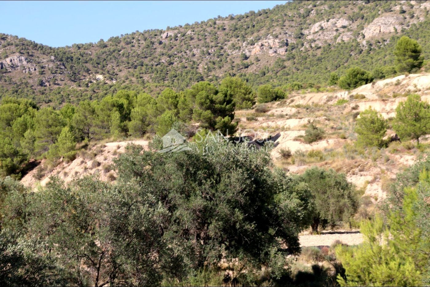 Terrain dans MONÒVER, Alicante à vendre Photo principale- Image 1 de 24
