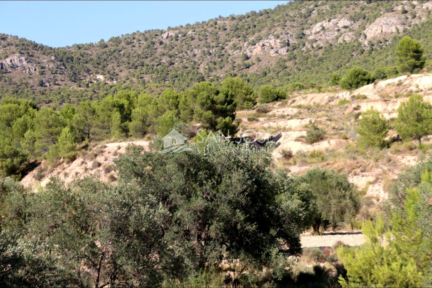 Terrain dans MONÒVER, Alicante à vendre Photo principale- Image 1 de 24