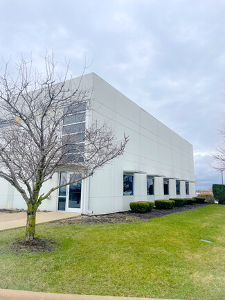 More details for 1201 Teal Ave, Peotone, IL - Industrial for Lease