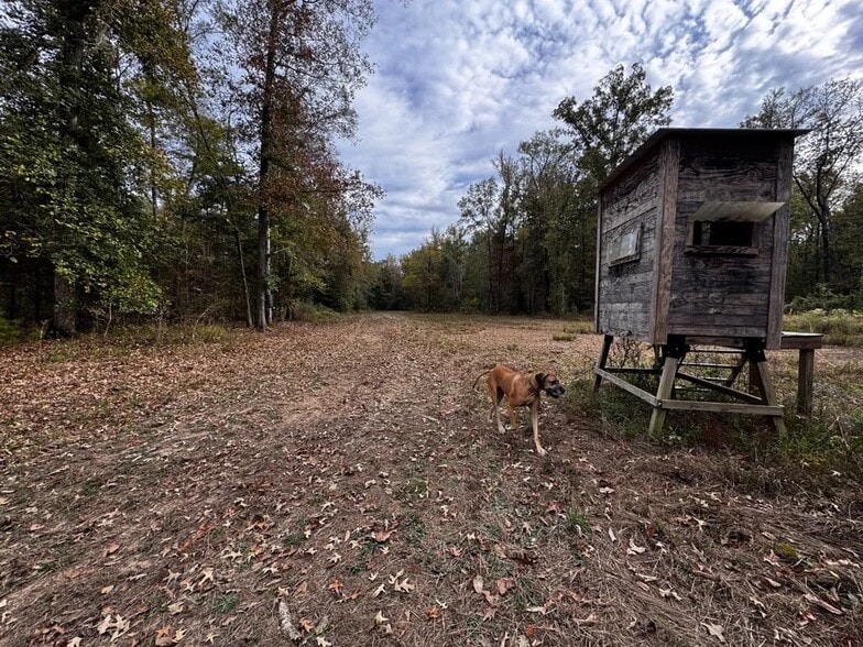 Coon Hop Rd, Hardaway, AL for sale - Building Photo - Image 2 of 5