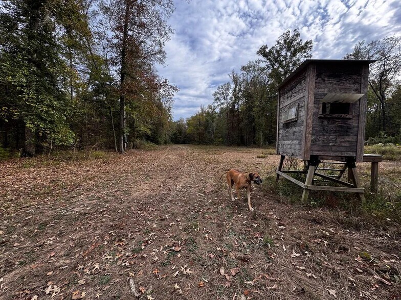 Coon Hop Rd, Hardaway, AL à vendre - Photo du bâtiment - Image 2 de 5
