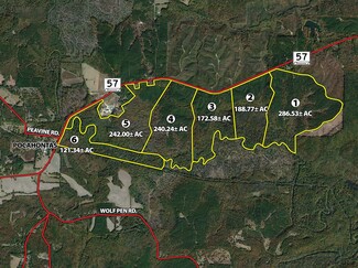 More details for 57 Pocahontas rd, Pocahontas, TN - Land for Sale