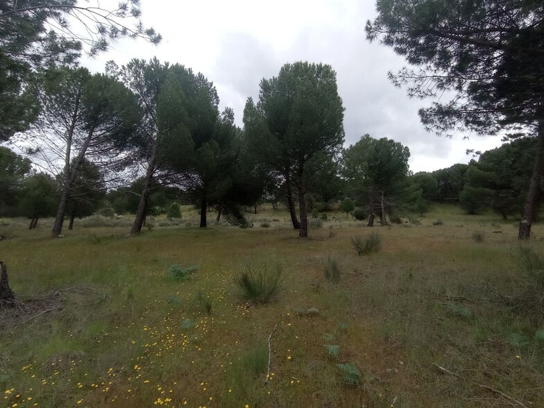 de Martacha Poligono, 502, Matapozuelos, Valladolid for sale - Building Photo - Image 2 of 23