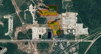 Plus de détails pour Osceola Polk Line Road – Terrain à vendre, Davenport, FL