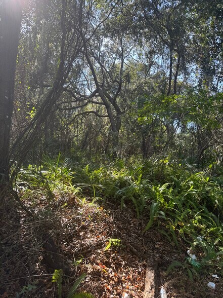 Franklin St, Oviedo, FL à vendre - Photo du bâtiment - Image 3 de 6