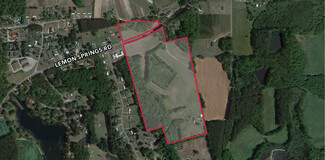 Plus de détails pour 4506 Lemon Springs Rd, Sanford, NC - Terrain à vendre