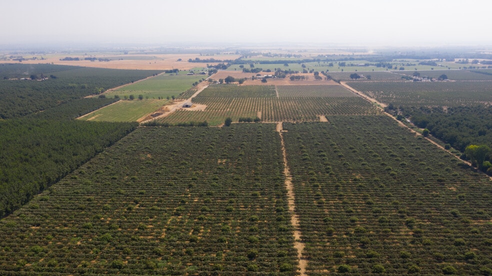 2099 Hwy 70, Biggs, CA for sale - Primary Photo - Image 1 of 31
