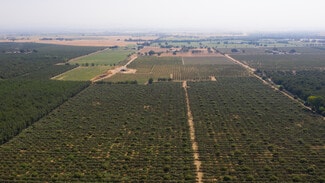 More details for 2099 Hwy 70, Biggs, CA - Land for Sale