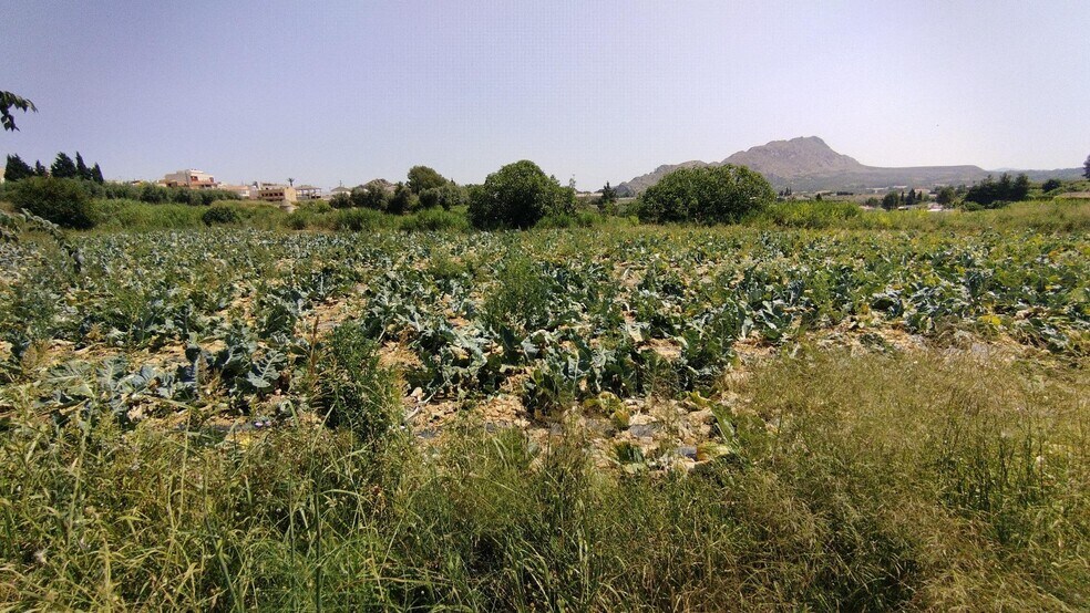 Land in Calasparra, Murcia for sale - Building Photo - Image 1 of 7