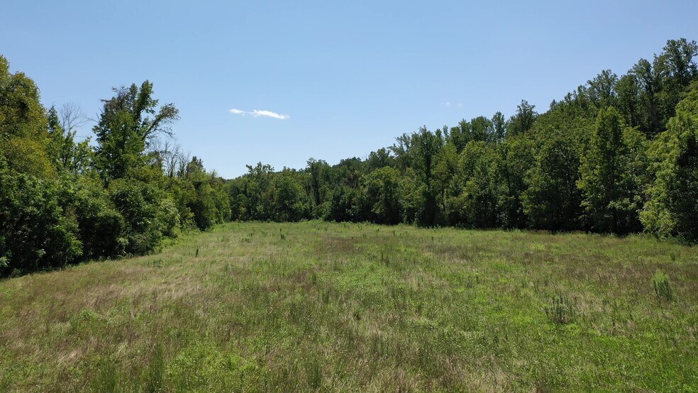 4303 Davidson, Davidson, NC à vendre - Photo du bâtiment - Image 1 de 10