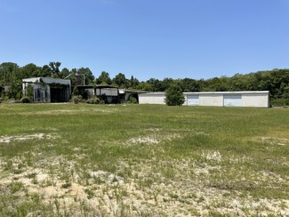 Plus de détails pour 1800 Greeleyville Hwy, Manning, SC - Industriel à vendre