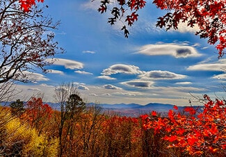 More details for 2350 Squirrel Hunting Road, Morganton, GA - Land for Sale