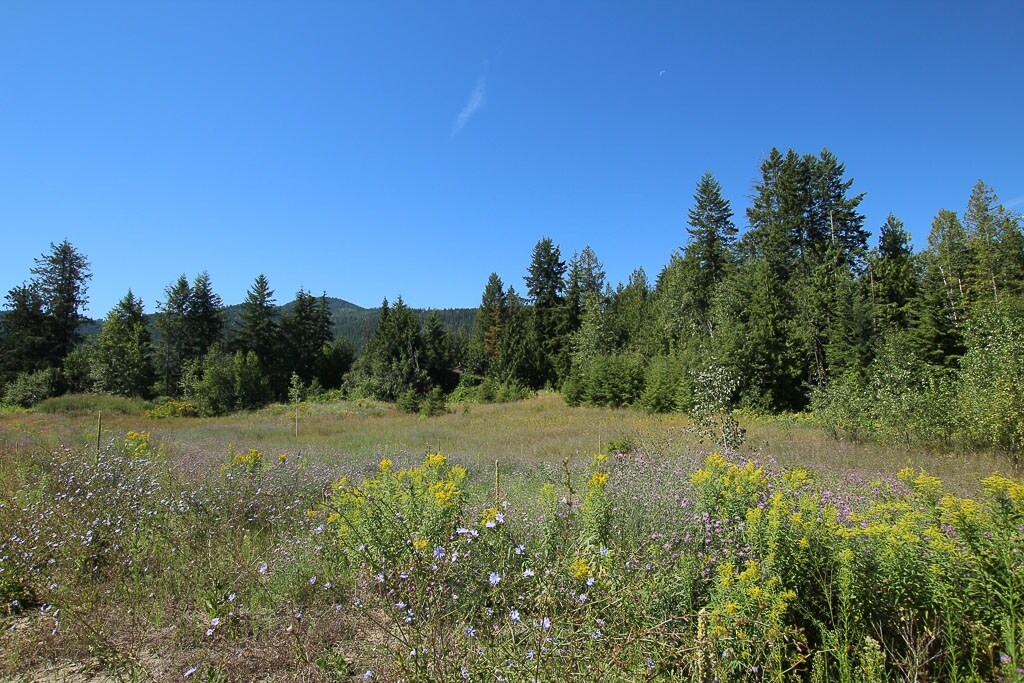 3601 20 AVE SE, Salmon Arm, BC for sale Primary Photo- Image 1 of 1