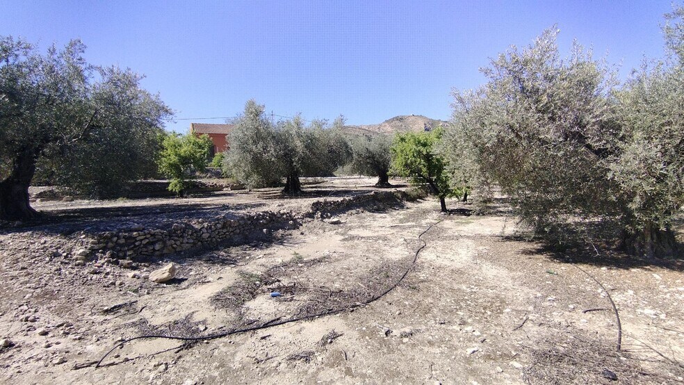 Land in Calasparra, Murcia for sale - Building Photo - Image 3 of 27