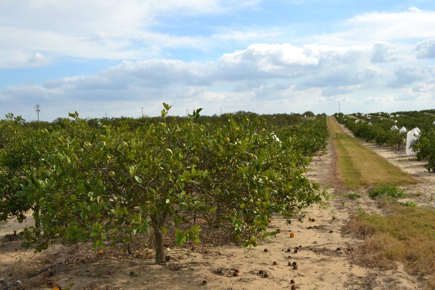 Scenic Highway, Babson Park, FL à vendre - Photo principale - Image 1 de 17