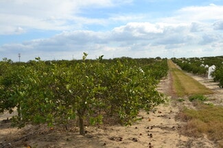 Plus de détails pour Scenic Highway, Babson Park, FL - Terrain à vendre