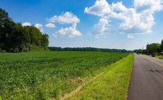 Plus de détails pour 1 Joe Quick Rd, Hazel Green, AL - Terrain à vendre