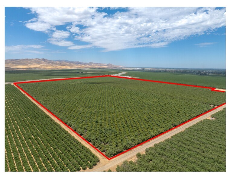 1250 W. Marshall Rd, Patterson, CA à vendre - Aérien - Image 1 de 16