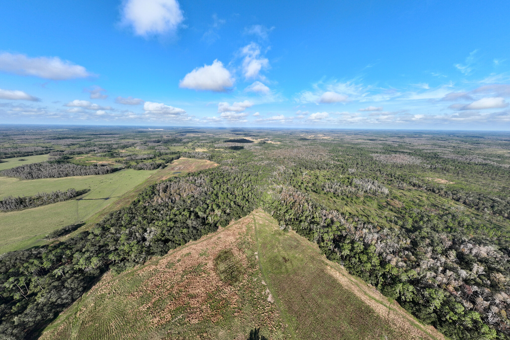 Old Dade City Road, Kathleen, FL for sale Primary Photo- Image 1 of 1