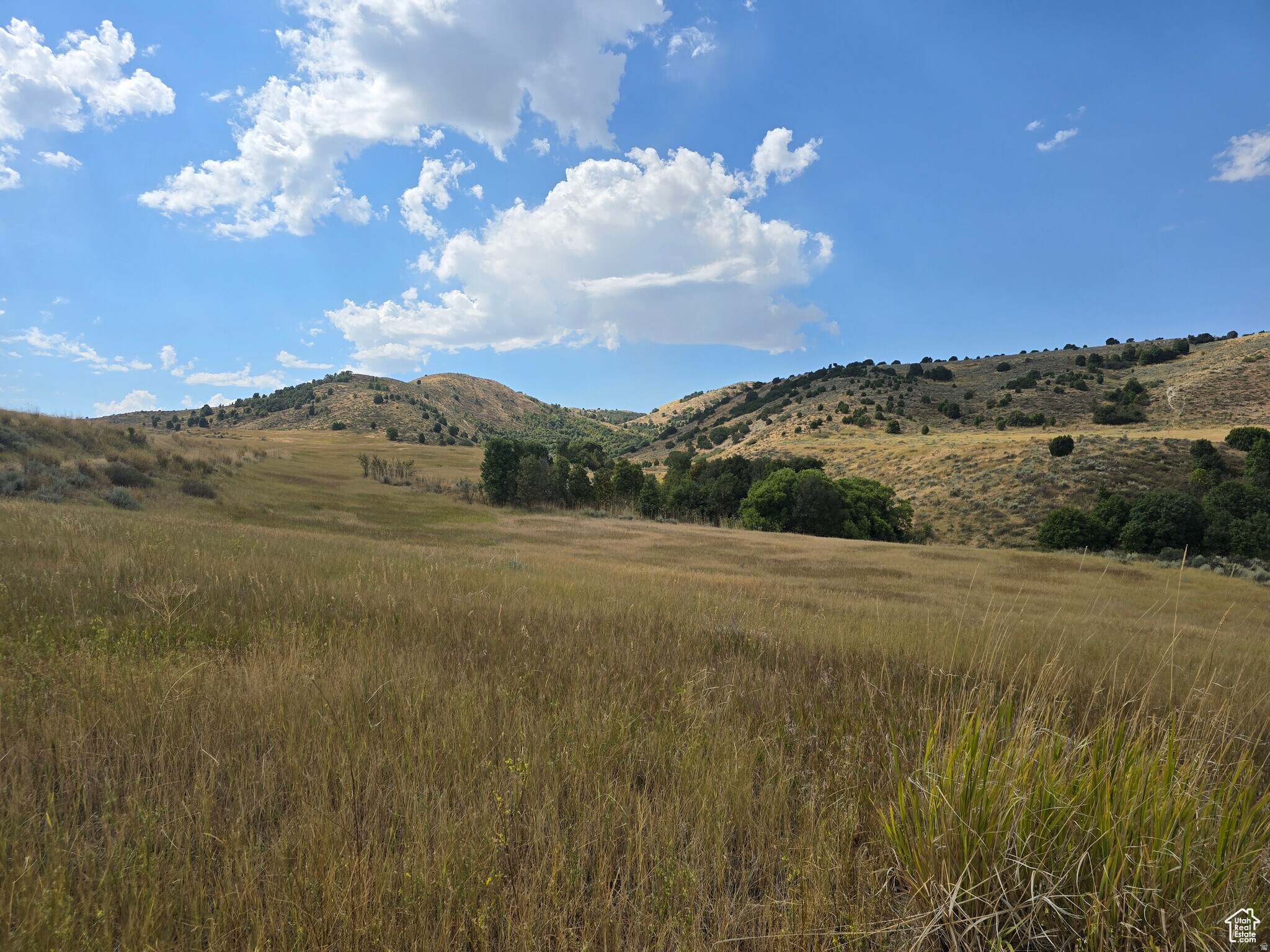 8400 8200 N, Newton, UT à vendre Photo principale- Image 1 de 7