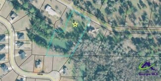 More details for Craftway Drive, Hawkinsville, GA - Land for Sale
