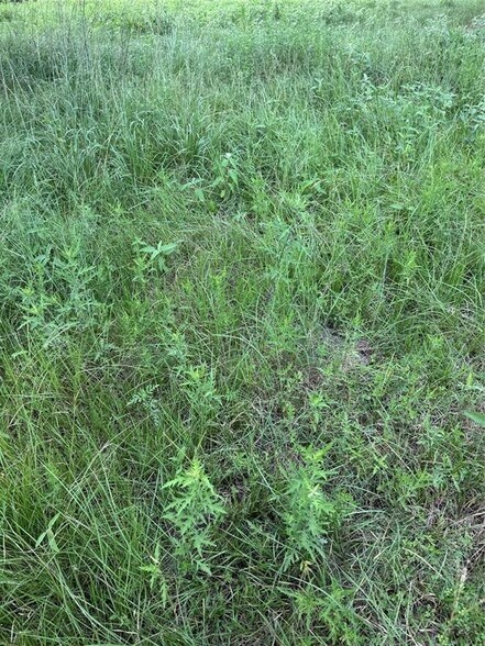 000 Herring Rd, Alvin, TX à vendre - Photo du bâtiment - Image 2 de 3