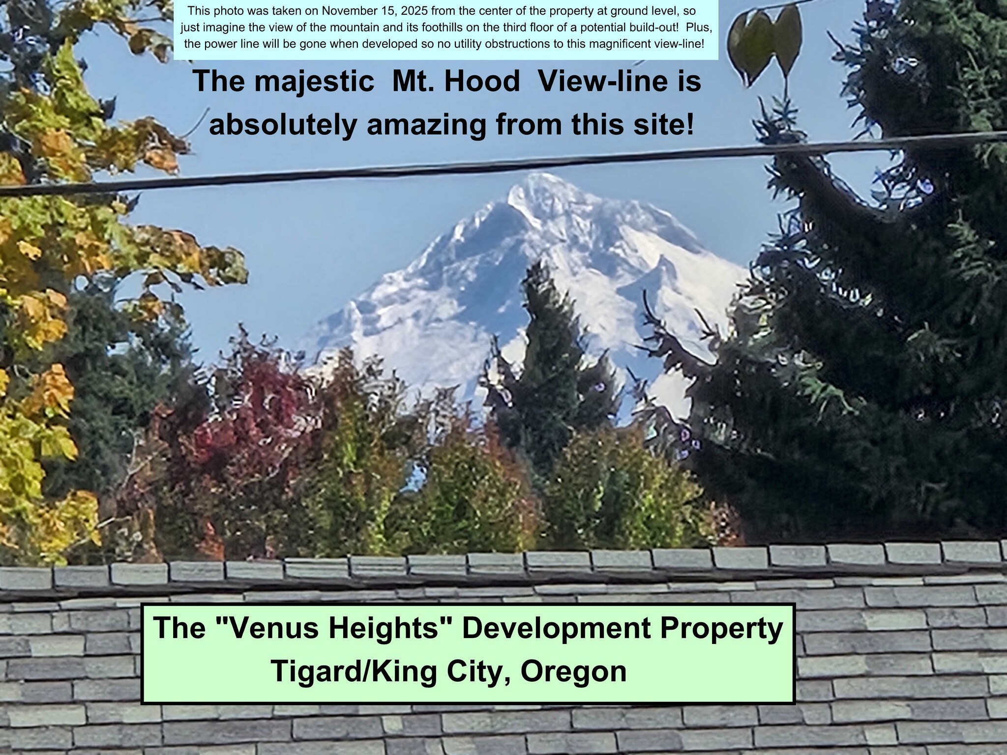 14187 SW 100th Ave, Tigard, OR for sale Primary Photo- Image 1 of 14