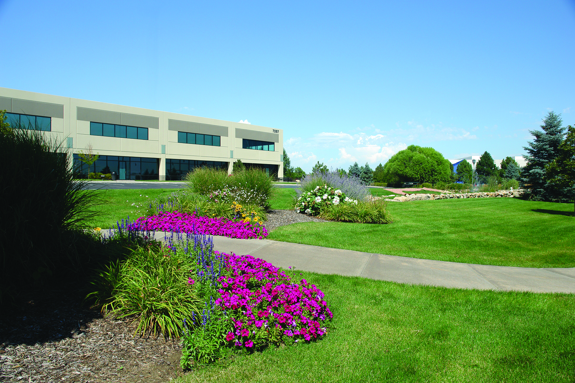 7237 Church Ranch Blvd, Westminster, CO for lease Primary Photo- Image 1 of 3