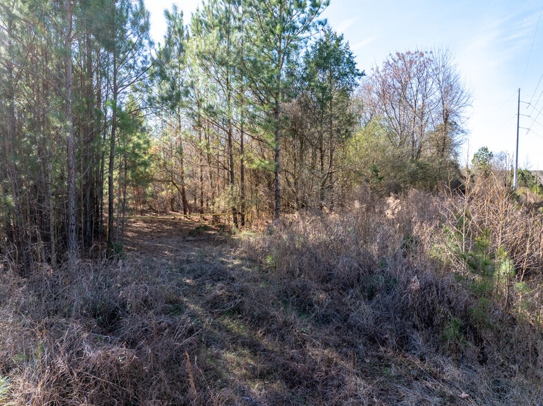 2071 Leslie Mill Rd, Greensboro, GA à vendre - Aérien - Image 3 de 32