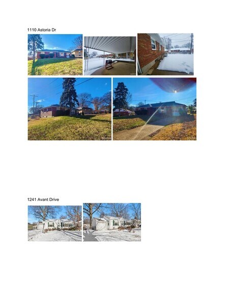 1110 Astoria Dr, Saint Louis, MO for sale - Primary Photo - Image 1 of 1