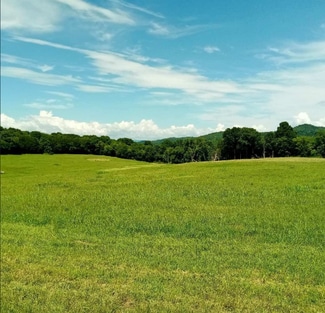 More details for Bradyville Pike, Readyville, TN - Land for Sale