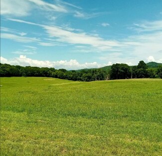 Plus de détails pour Bradyville Pike, Readyville, TN - Terrain à vendre