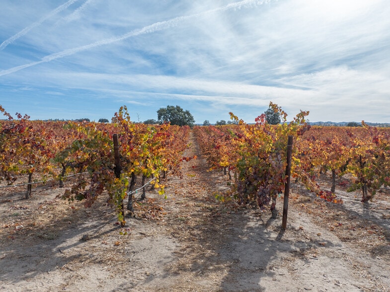 6520 O'Donovan Rd, Creston, CA for sale - Aerial - Image 2 of 6