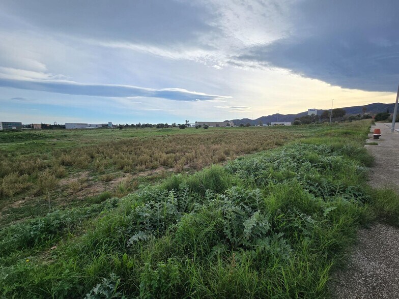 Terrain dans Amposta, Tarragona à vendre - Autre - Image 2 de 5