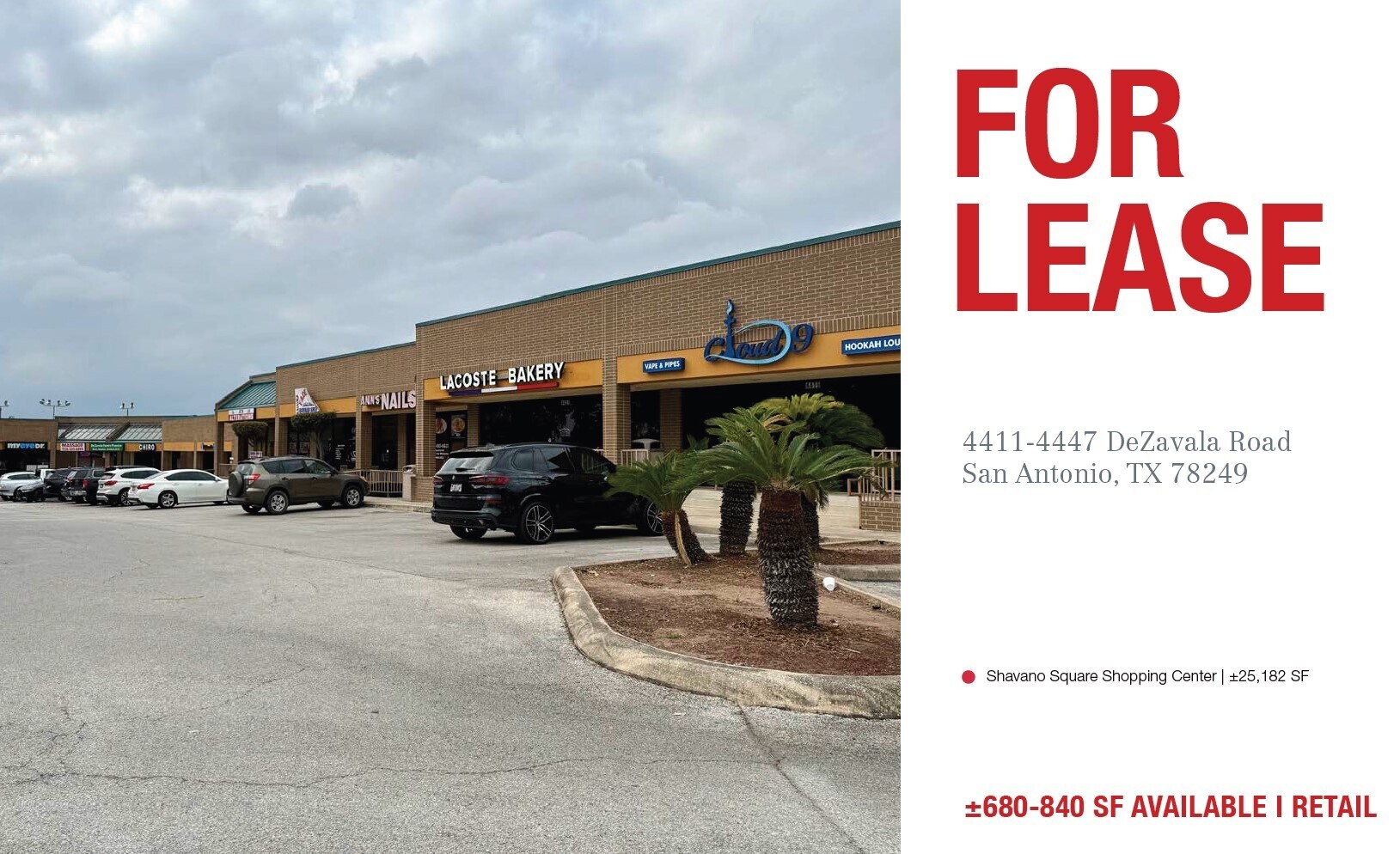 4429-4445 De Zavala Rd, San Antonio, TX for lease Primary Photo- Image 1 of 5