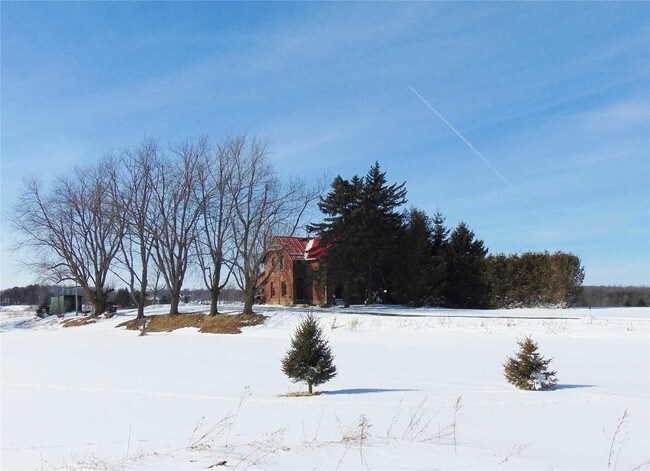 More details for 537042 Main St, Melancthon, ON - Land for Sale