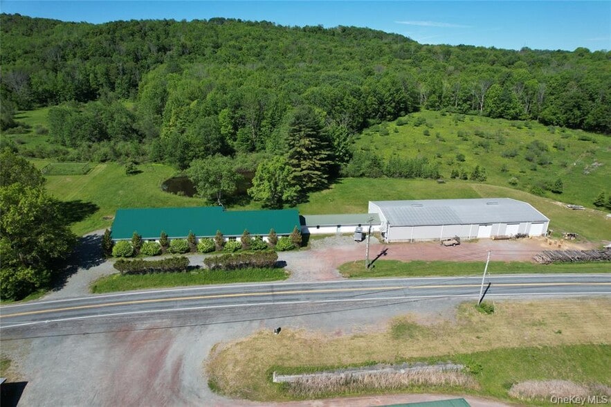 295 Jeffersonville North Branch Rd, Jeffersonville, NY à vendre - Photo du bâtiment - Image 3 de 43