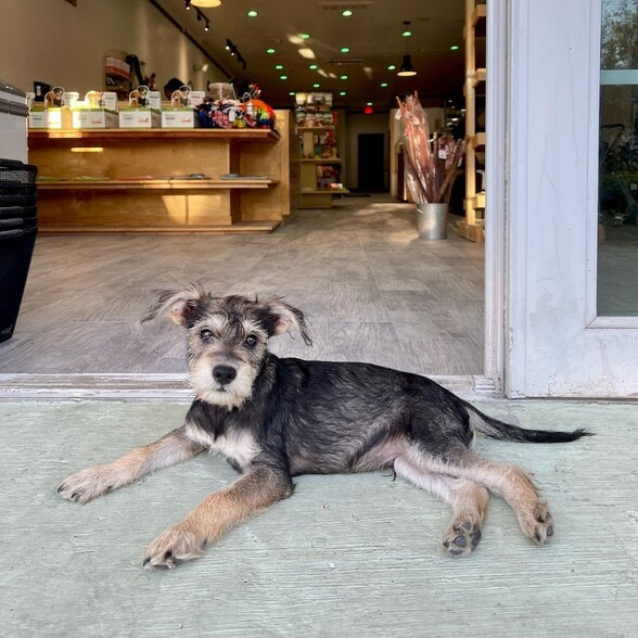 218-220 S Myrtle Ave, Monrovia, CA for lease - Interior Photo - Image 3 of 14