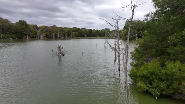 6040 AL-28, Pine Apple, AL for sale - Commercial Listing Video - Image 3 of 27