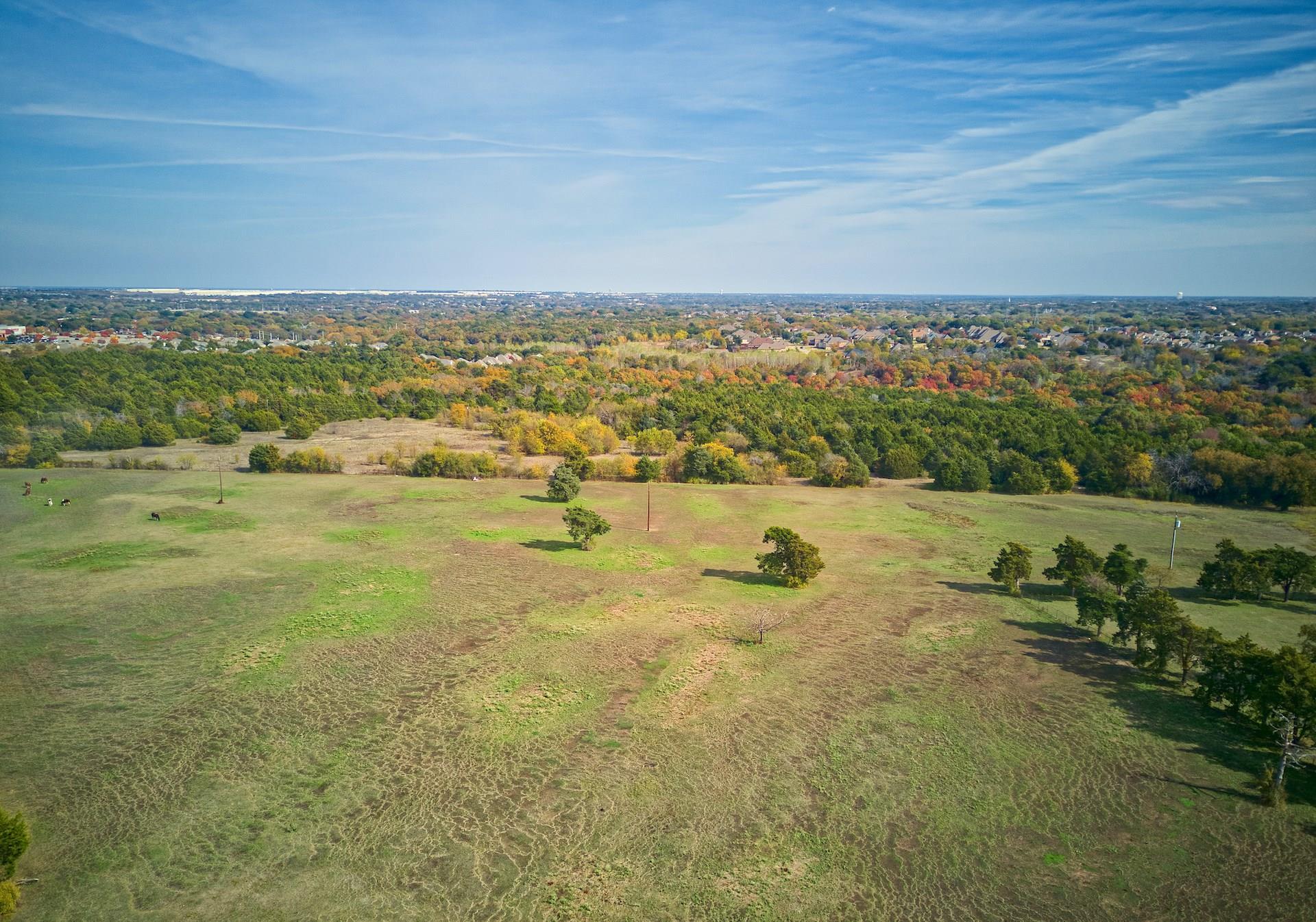 1318 N J Elmer Weaver Fwy, Cedar Hill, TX à vendre Photo principale- Image 1 de 14