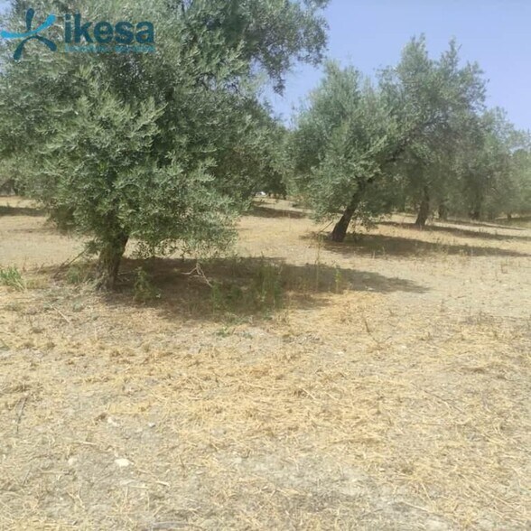 Terrain dans Jaén, Jaén à vendre - Photo du bâtiment - Image 2 de 22