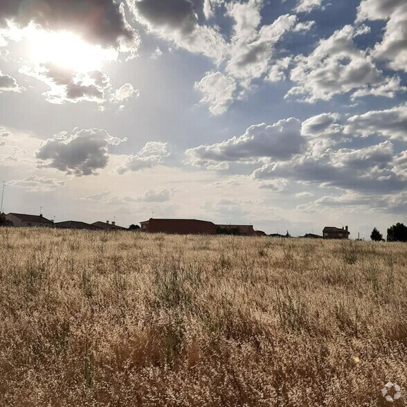 Carretera Extremadura, Quismondo, Toledo à louer - Photo du bâtiment - Image 2 de 3
