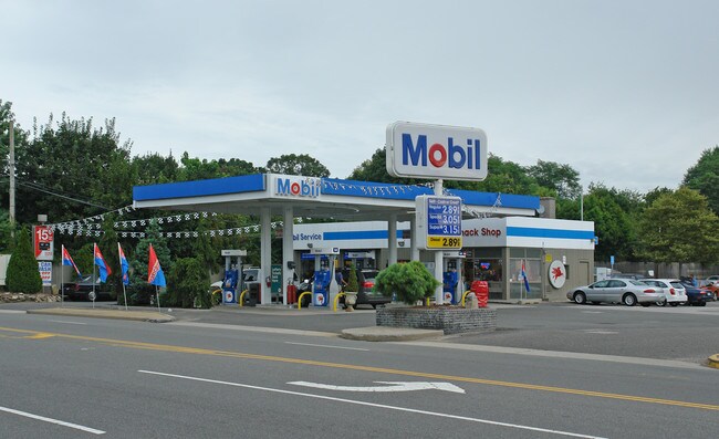 Plus de détails pour 950 Carmans Rd, Massapequa Park, NY - Commerce de détail à louer